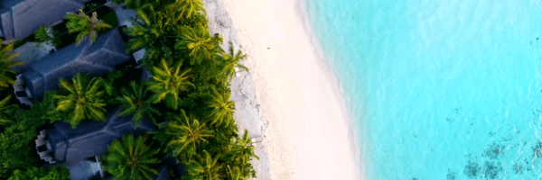 Our Professional Travel Management Fees